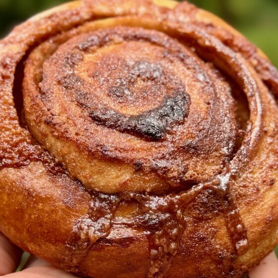 Zimtschnecke Nr. 3: glänzend, eng gerollt, die Zimtschicht tief in der Spirale